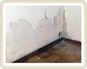 Pic 1